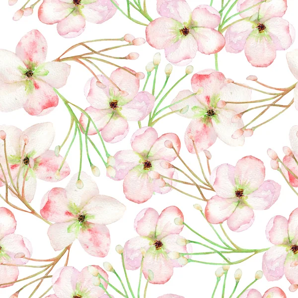 A seamless floral pattern with the tender pink apple tree blooming flowers, painted in a watercolor — 스톡 사진