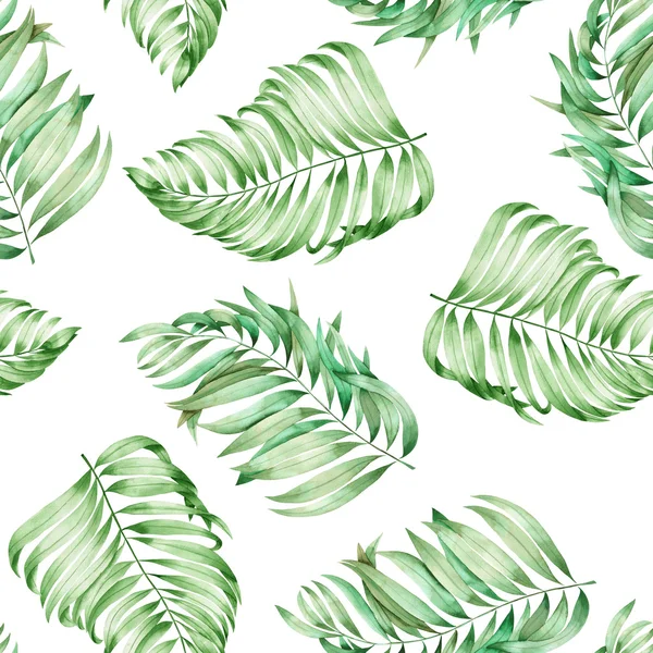 A seamless pattern with the watercolor  branches of the leaves of a palm painted on a white background — Φωτογραφία Αρχείου