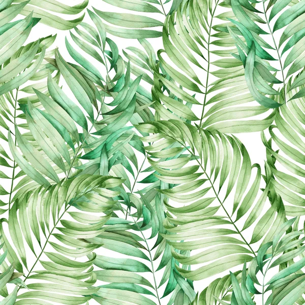 A seamless pattern with the watercolor  branches of the leaves of a palm painted on a white background — Zdjęcie stockowe