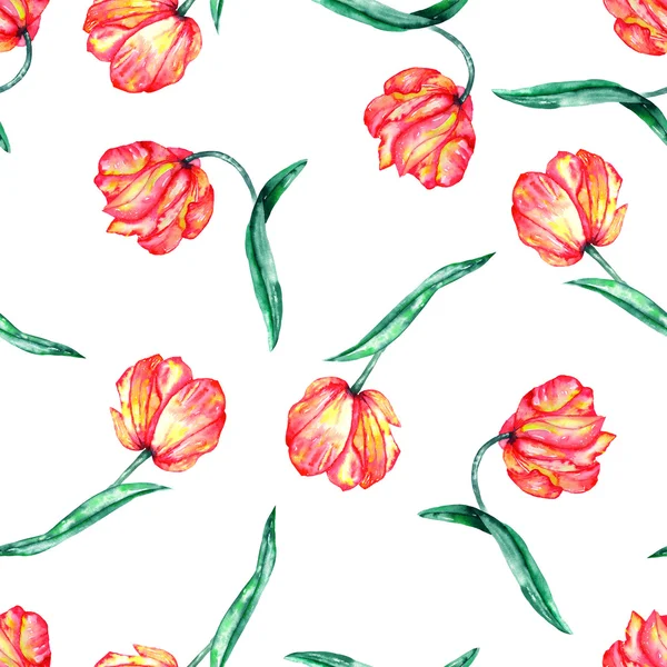 A seamless pattern with the watercolor red and yellow tulips — Stock Photo, Image