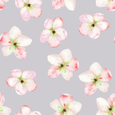 A seamless floral pattern with the tender pink apple tree blooming flowers, painted in a watercolor