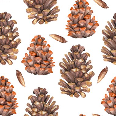 Suluboya köknar koniler ile seamless modeli