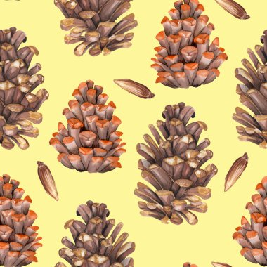 Suluboya köknar koniler ile seamless modeli