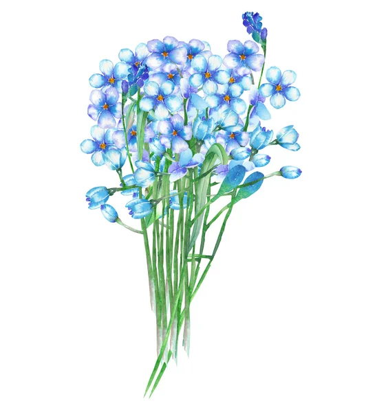 An illustration with a bouquet of the beautiful watercolor blue forget-me-not flowers (Myosotis) — Stok fotoğraf