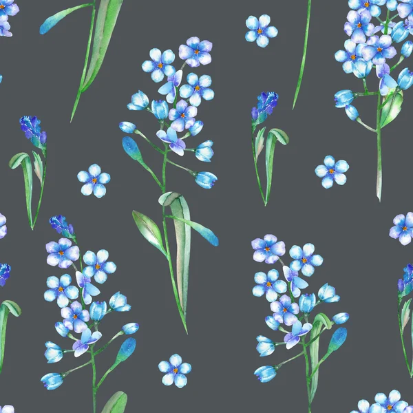 Seamless floral pattern with the blue flowers of forget-me-not (Myosotis), painted in a watercolor on a dark background — Stok fotoğraf