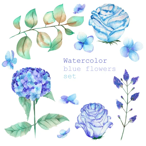 Un set con gli elementi floreali sotto forma di fiori e foglie blu acquerello, fiori in fiore (ortensia, Rose) per una decorazione — Foto Stock