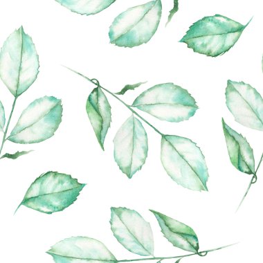 A seamless pattern with the watercolor roses leaves on a white background