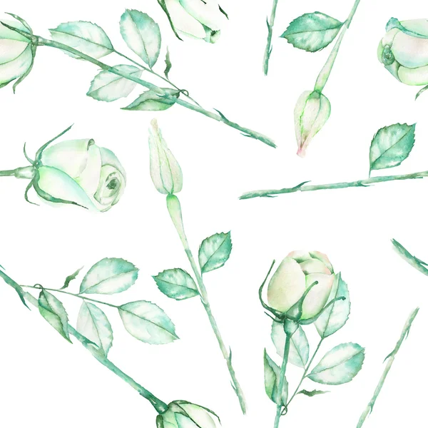Un modello senza soluzione di continuità con le rose verdi teneri acquerello su uno sfondo bianco — Foto Stock