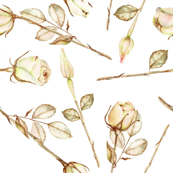 A seamless pattern with the watercolor sepia roses on a white background — 图库照片