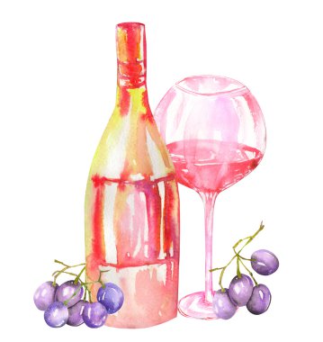 Image of the watercolor red wine (champagne) bottle, blue grapes and glass of the red wine. Painted hand-drawn in a watercolor on a white background.