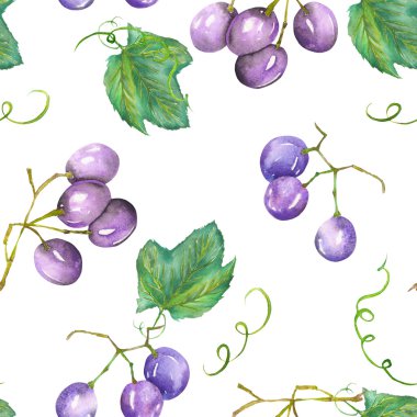 A seamless pattern with the watercolor blue (violet) grapes. Painted hand-drawn in a watercolor on a white background.