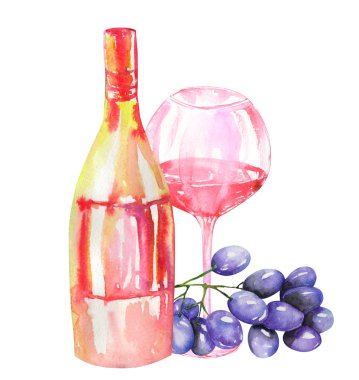 Image of the watercolor red wine (champagne) bottle, bunch of blue grapes and glass of the red wine. Painted hand-drawn in a watercolor on a white background.
