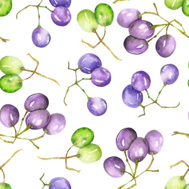 A seamless pattern with the watercolor green and blue (violet) grapes. Painted hand-drawn in a watercolor on a white background.