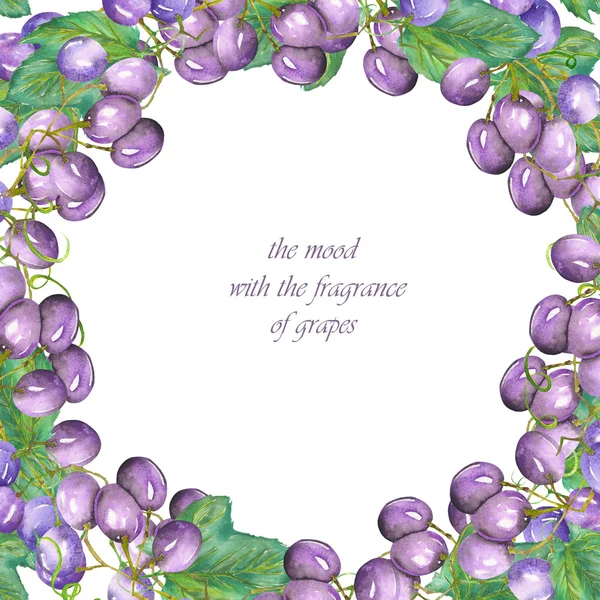 A fruit circle frame of the watercolor bunches of blue (violet) grapes, a place for a text — Stock fotografie