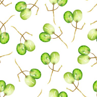 A seamless pattern with the watercolor green grapes. Painted hand-drawn in a watercolor on a white background.