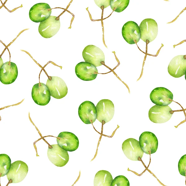 Ein nahtloses Muster mit den aquarellgrünen Trauben. handgezeichnet in einem Aquarell auf weißem Hintergrund. — Stockfoto