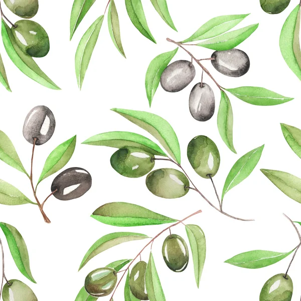 Ein nahtloses Muster mit den Aquarellzweigen grüner und schwarzer Oliven auf weißem Hintergrund — Stockfoto