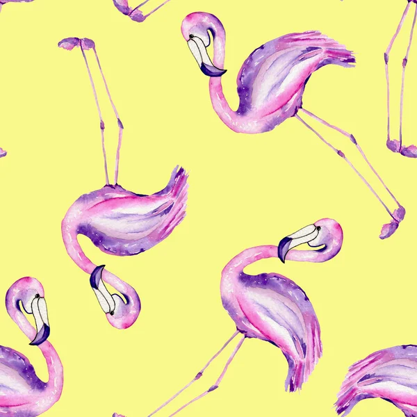 Flamingo ile seamless modeli — Stok fotoğraf
