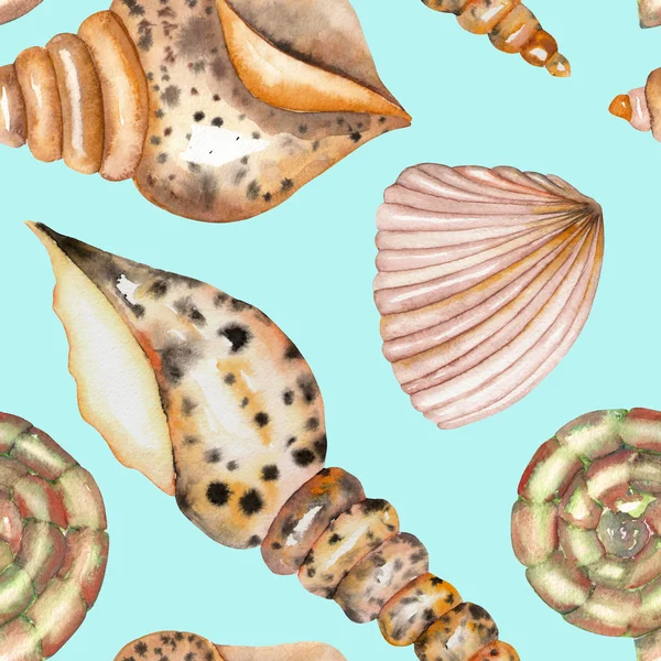 A pattern with the watercolor shells — Stock Photo, Image