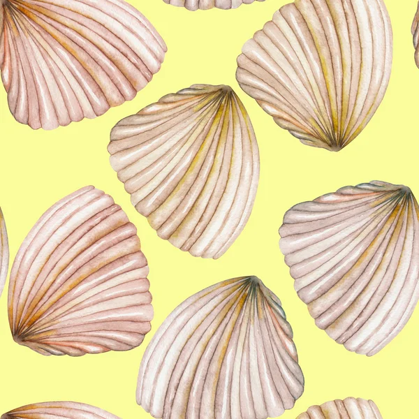 A pattern with the watercolor shells — Stock Photo, Image