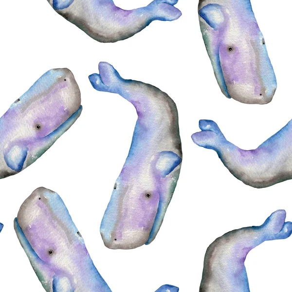 수채화 고래 패턴 — 스톡 사진