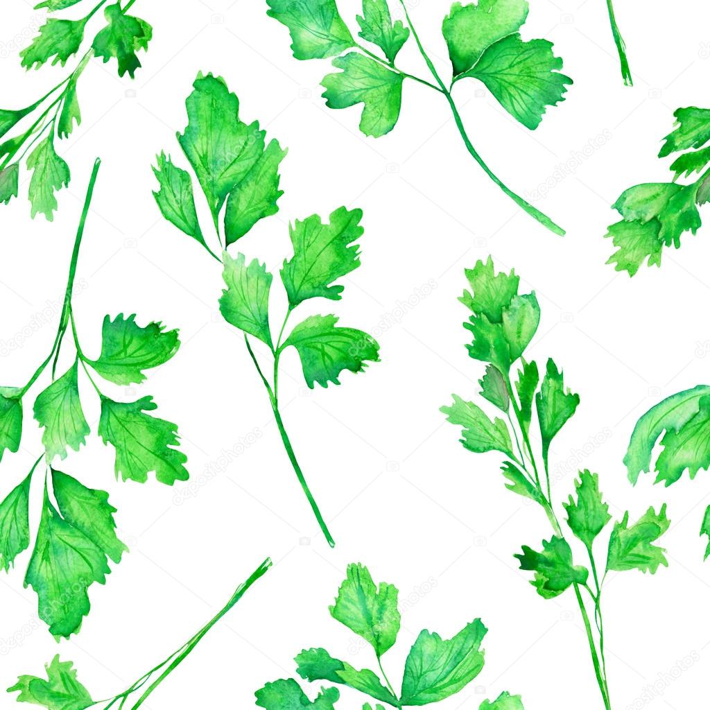 A seamless pattern with the watercolor parsley on a white background
