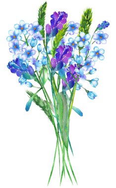 Güzel suluboya mavi unutma çiçekler (Myosotis), lavanta çiçekleri ve spikelets bir buket ile bir çizimi