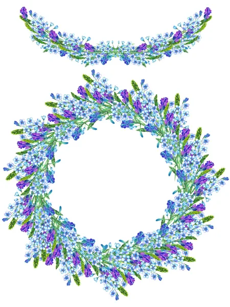 Test határ, a koszorú és a virágok akvarell kék Nefelejcs (Myosotis), spikelets, festett egy akvarell, üdvözlőlap, képeslap dekoráció vagy meghívás és levendula virág koszorú — Stock Fotó
