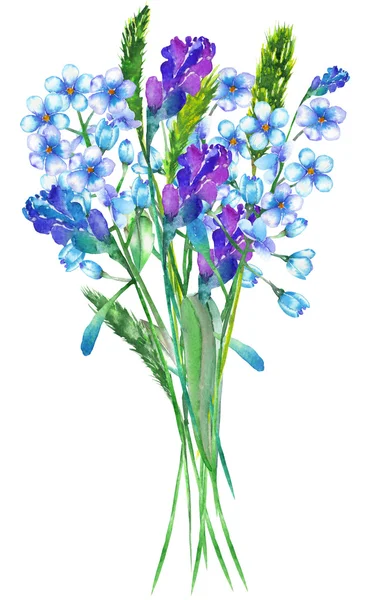 Uma ilustração com um buquê da bela aquarela azul esquecer-me-não flores (Myosotis), flores de lavanda e espiguetas — Fotografia de Stock