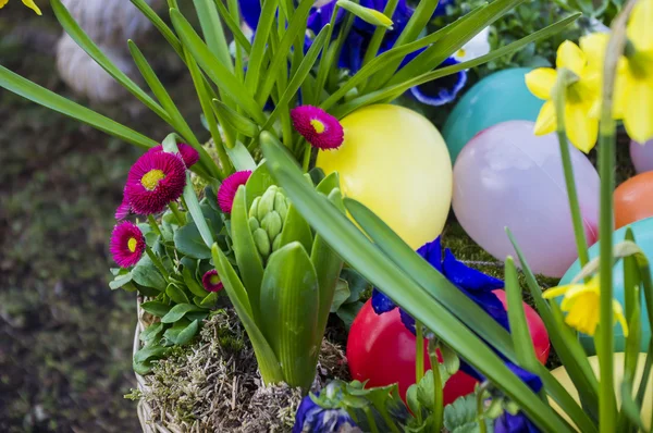 Ovos de Páscoa decorativos . — Fotografia de Stock