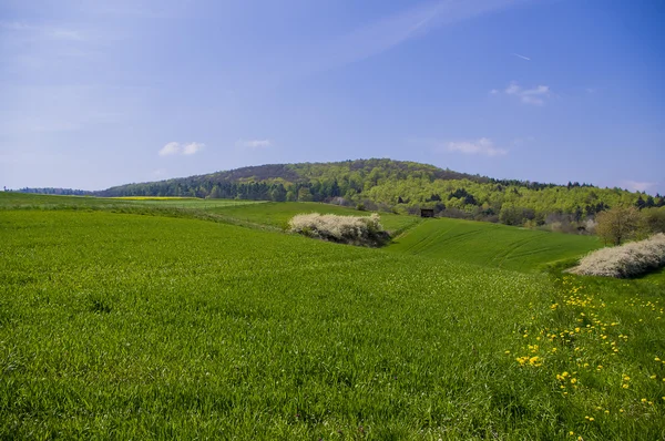 A bela localização rural . — Fotografia de Stock