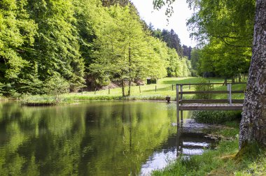 Küçük bir göl içinde iskele