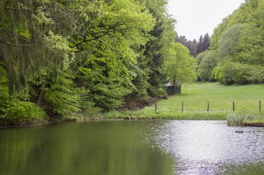 Parkta güzel sahne.