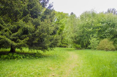Parkta güzel sahne.
