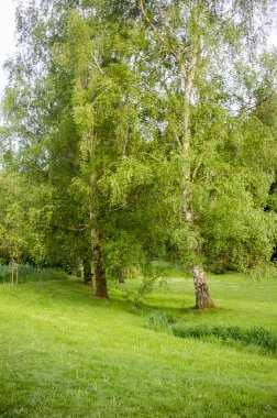 Parkta güzel sahne.