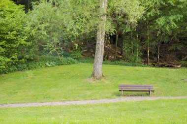 Parkta güzel sahne.