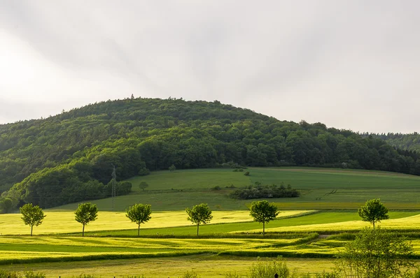 Beautiful landscape . View from the road. — Stock Photo, Image