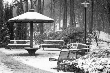 Parkta kış manzaraları.