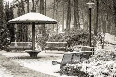 Parkta kış manzaraları.