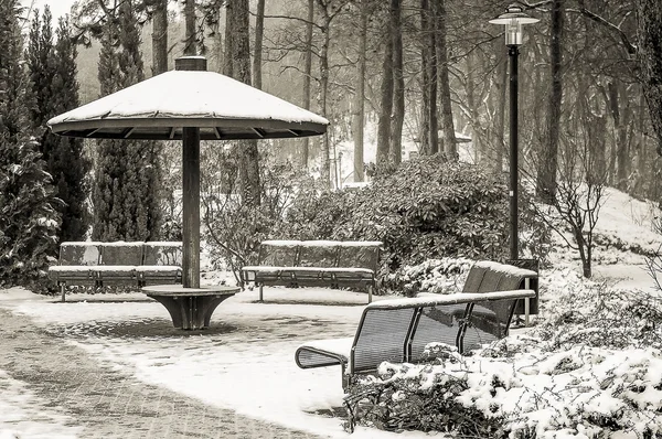 Parkta kış manzaraları.