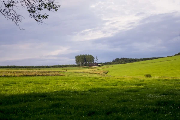 Bela paisagem. Vista da estrada . Imagem De Stock