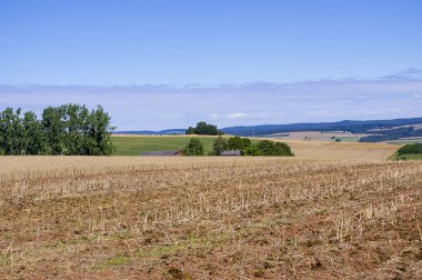 boş buğday alanı.
