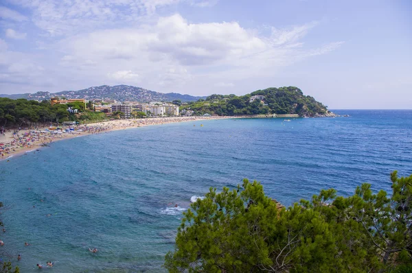 Deniz kıyısının güzel manzarası.