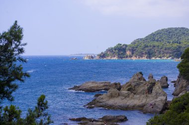 Deniz kıyısının güzel manzarası.