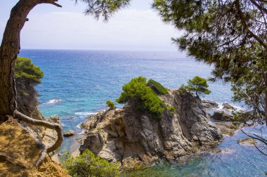 Deniz kıyısının güzel manzarası.