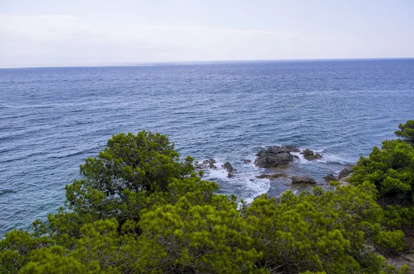 Beautiful landscape of the sea coast. — Stock Photo, Image