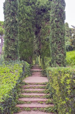 Şehir parkının güzel manzarası.