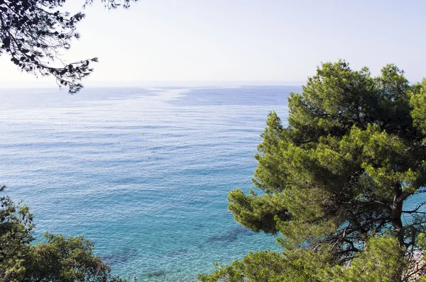 Hermoso paisaje de la costa del mar. — Foto de Stock