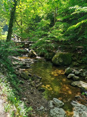 Parktaki manzara çok güzel. Göl.