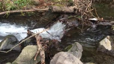 Dağ nehri taşların arasından akar..